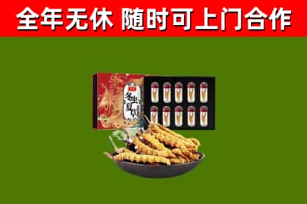 阜宁回收冬虫夏草价格